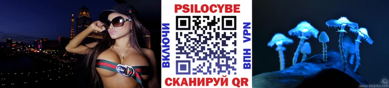 Псилоцибиновые грибы Magic Shrooms  где купить наркоту  Шимановск 